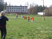 a226.jpg