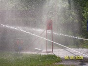 a009.jpg