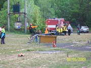a015.jpg