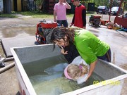 a046.jpg