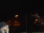 a017.jpg