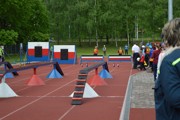 a062.jpg