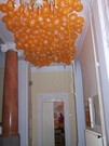 a015.jpg