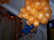 a019.jpg