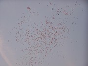 a086.jpg