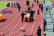 a072.jpg
