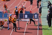 a082.jpg