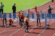a113.jpg