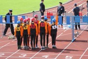a115.jpg
