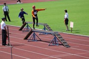a137.jpg