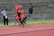 a216.jpg