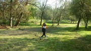 a030.jpg