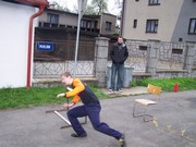b007.jpg