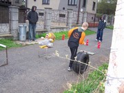 b017.jpg