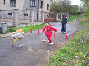 b031.jpg