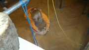 a070.jpg