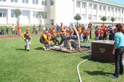 a013.jpg
