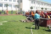 a014.jpg