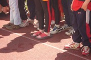 a018.jpg