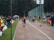 a057.jpg