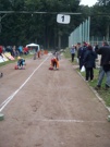 a070.jpg