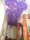 a006.jpg