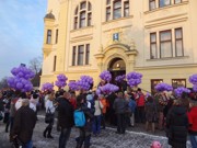 a037.jpg