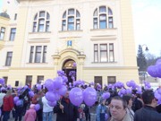 a049.jpg