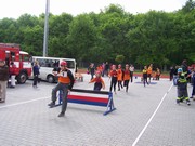 a019.jpg