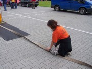 a031.jpg