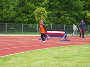 a036.jpg