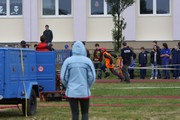 a116.jpg