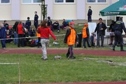 a117.jpg
