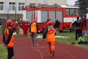 a131.jpg