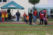 a154.jpg