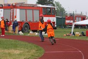 a195.jpg