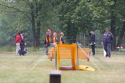 a235.jpg