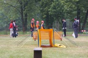 a236.jpg