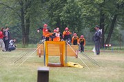 a237.jpg