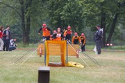 a238.jpg