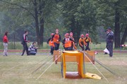 a295.jpg
