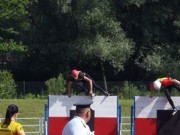 a208.jpg