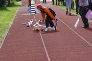 a331.jpg