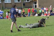 a468.jpg