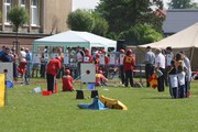 a702.jpg