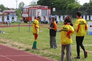 a833.jpg