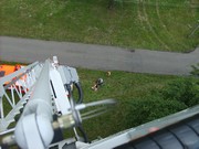 y039.jpg