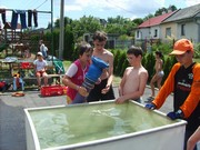 y055.jpg