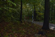 a001.jpg