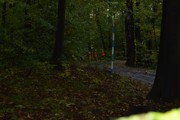 a019.jpg